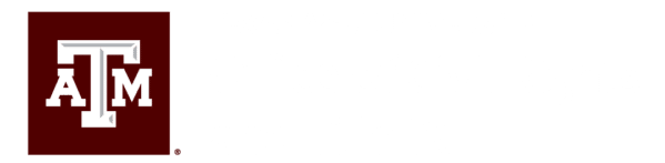 Title IX at Texas A&M